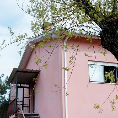 Al Nonna Eli Hotel Campos (Viana do Castelo)