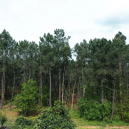 Hotel Al Nonna Eli *