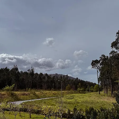 Hotel Al Nonna Eli *