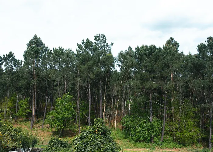 فندق Al Nonna Eli *